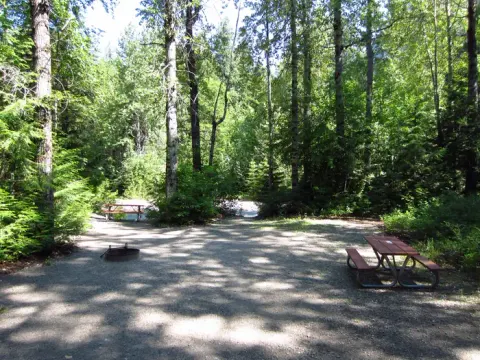 Picnic table and fire ring in the shade of trees.