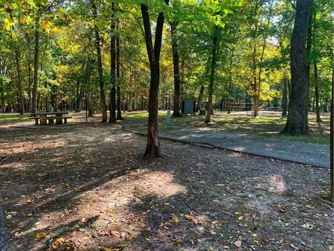 Shagbark Group Area Campsite and View of Volleyball Area