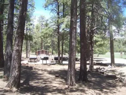 PLAYGROUND GROUP