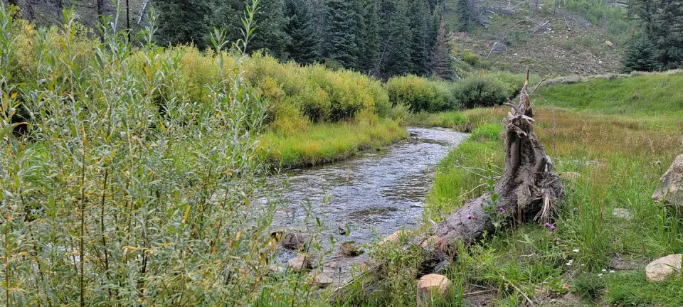Huntington Creek 1