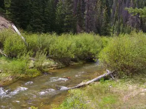 Huntington Creek