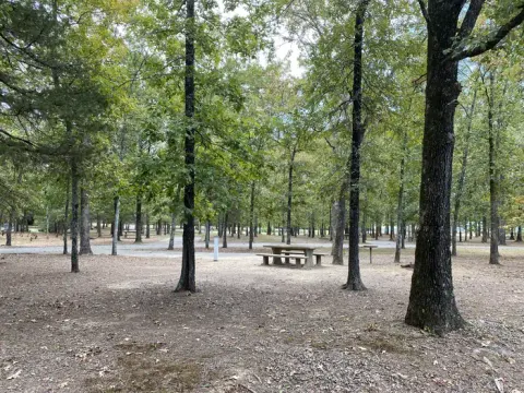 Cherokee Park
