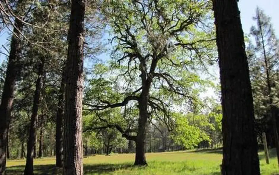 Rogue River-Siskiyou National Forest recreation area