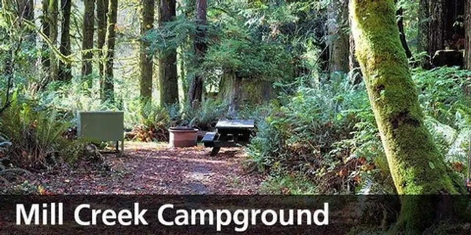 Mill Creek campground