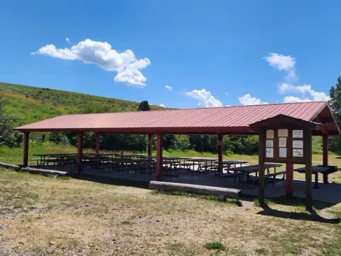 Many picnic benches under a pavilion