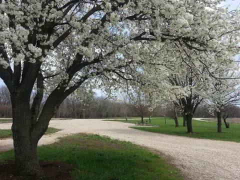 Rockhaven Park day use area