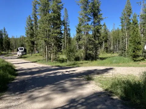 Campground road in unshaded area.