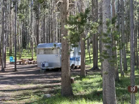 Camper in wooded campsite