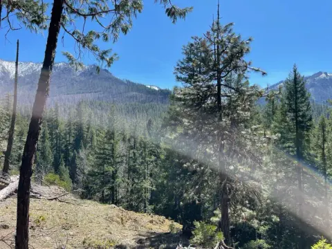 Willamette National Forest recreation area