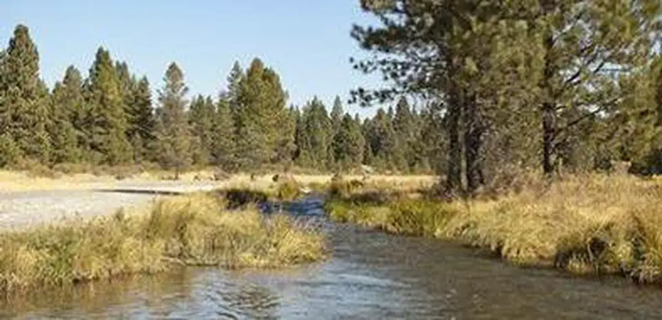 Deschutes National Forest recreation area