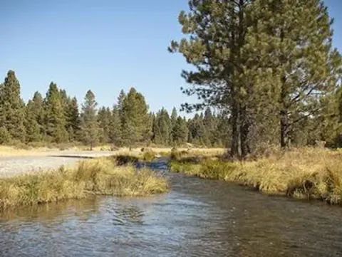 Deschutes National Forest recreation area