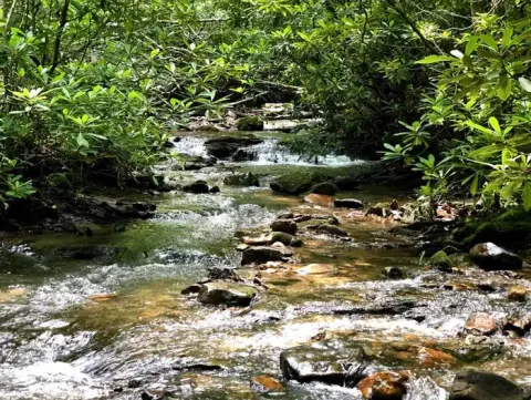 George Washington & Jefferson National Forest recreation area