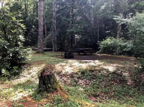George Washington & Jefferson National Forest recreation area