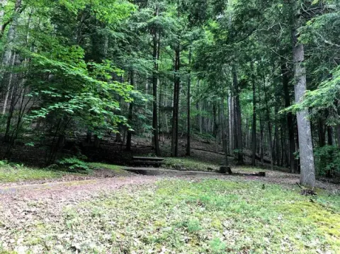 George Washington & Jefferson National Forest recreation area