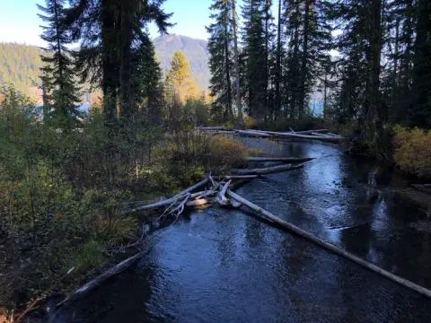 Deschutes National Forest recreation area