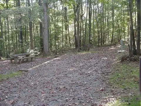 POOLE KNOBS - INTERIOR CAMPSITE