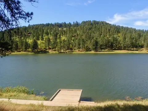 Cook Lake Dock