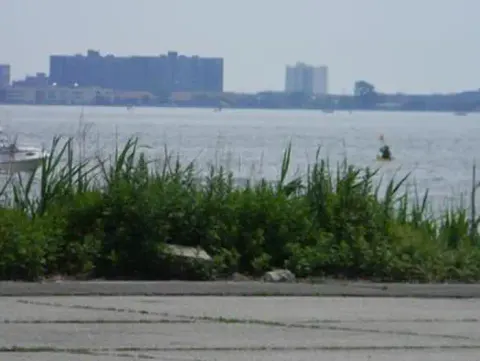 A view of the city across the water