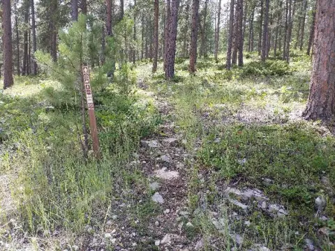 Rueter Trail