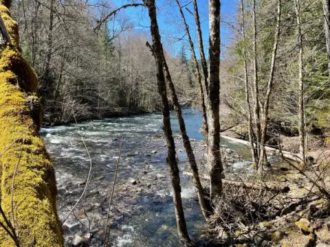 Willamette National Forest recreation area
