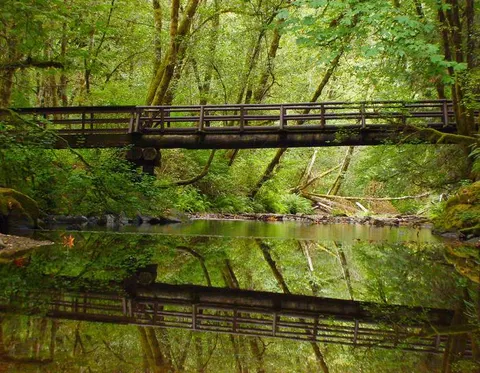 Bridge over Whittaker Creek