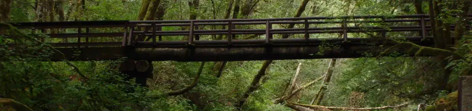 Siuslaw River SRMA recreation area