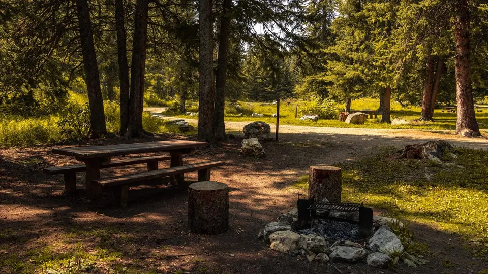 Timon Campsite