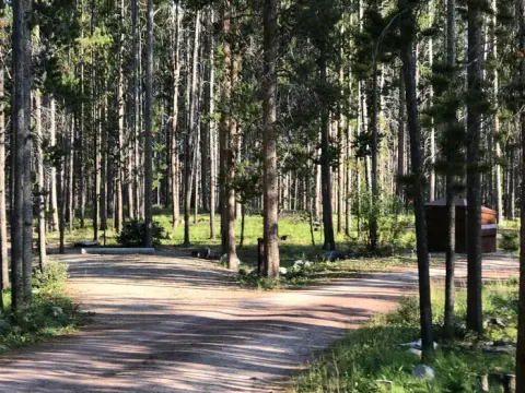 Beaverhead-Deerlodge National Forest recreation area
