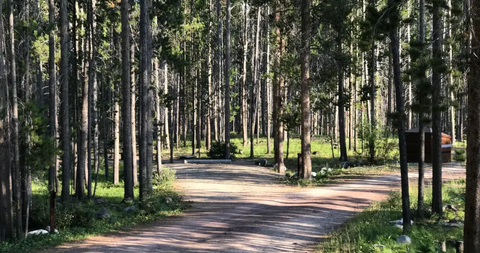 Campsite in wooded area