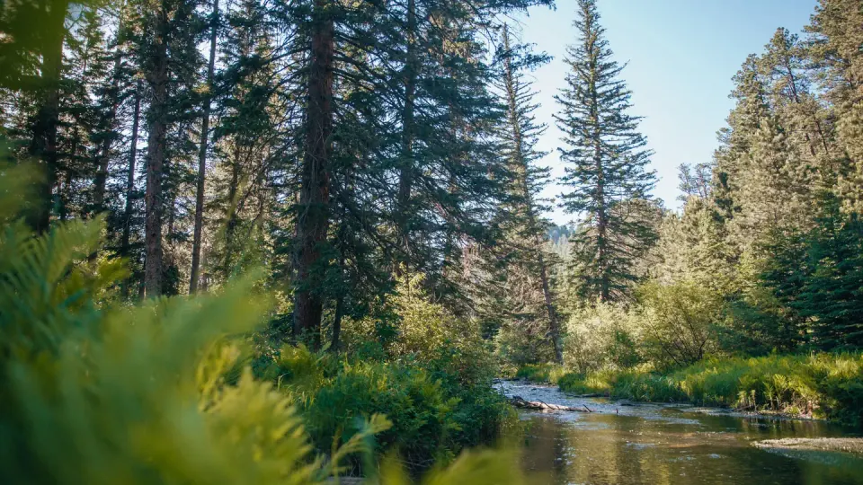 Box Elder Creek
