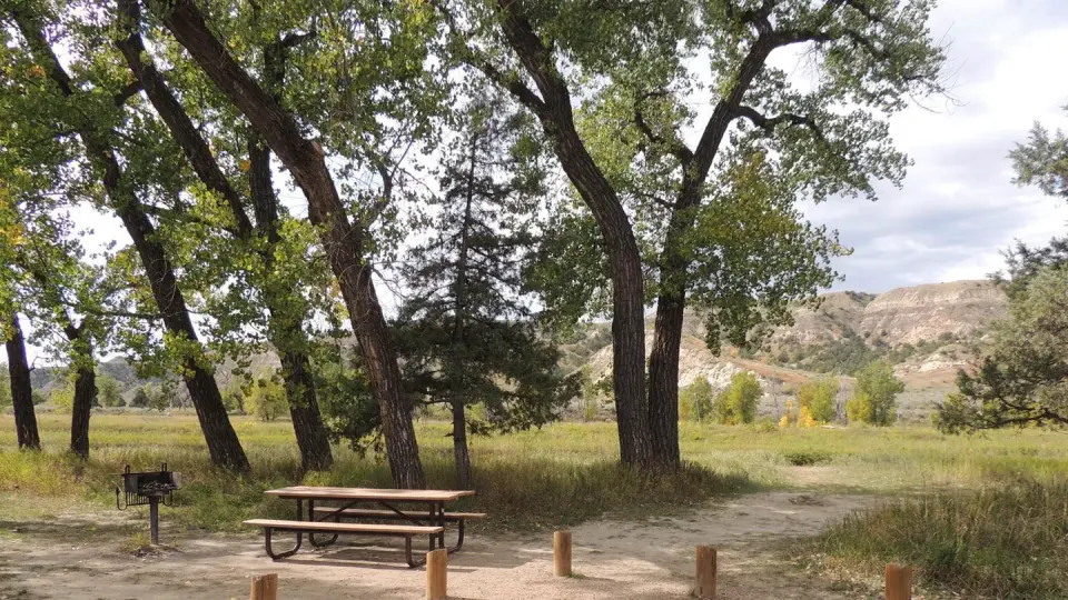 Cottonwood Campground's leafy green cottonwood trees with colorful hills in the background