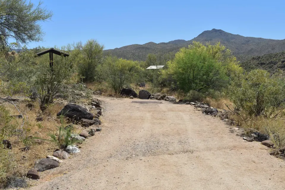 Site Number 5