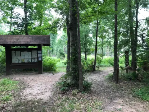 John's point trailhead