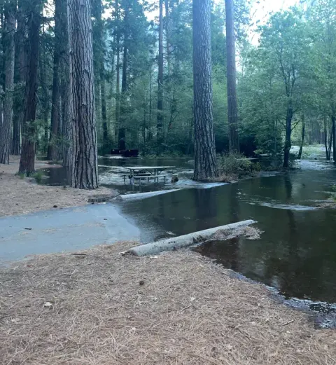 Flooding in Lower Pines #62