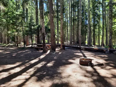 Gifford Pinchot National Forest recreation area