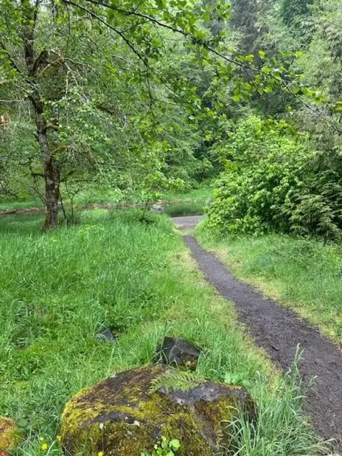 Path to river