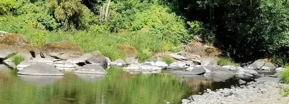 Rocky Bend Group Campground on the banks of the Nestucca River