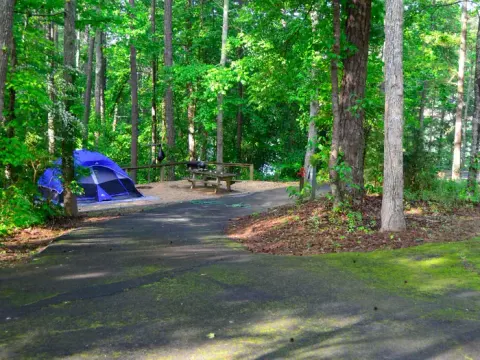 Sweetwater Campground site 16.