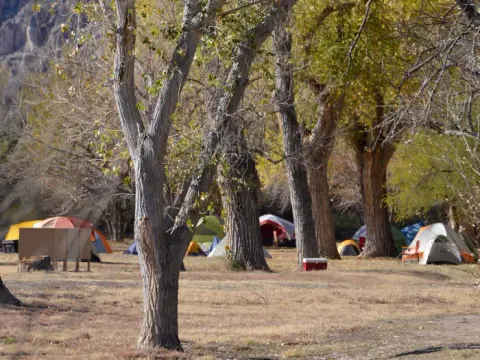Tents scattered on the flat, grassy area amidst large trees