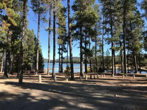 Deschutes National Forest recreation area