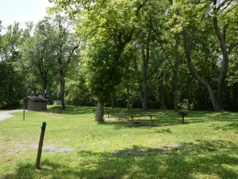 Single campsite with fire ring, picnic table and grill.