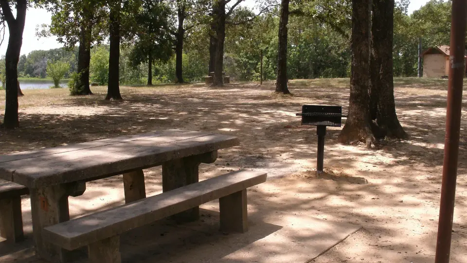 Coffee Mill Campsite, picnic table and BBQ