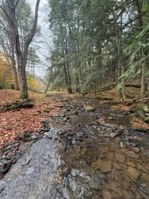 Ross Run Access Area