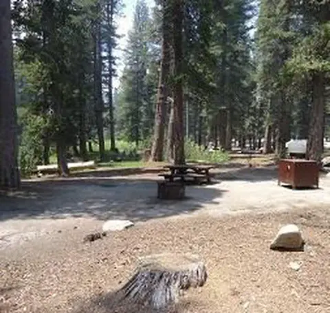 Big Meadow 3