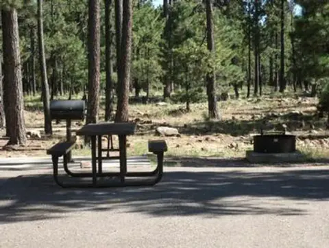 CROOK CAMPGROUND campsite