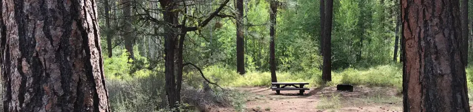 Deschutes National Forest recreation area