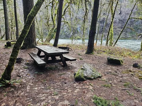 Campsite at Island Campground
