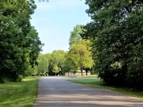 Gun Creek Campground Main Road