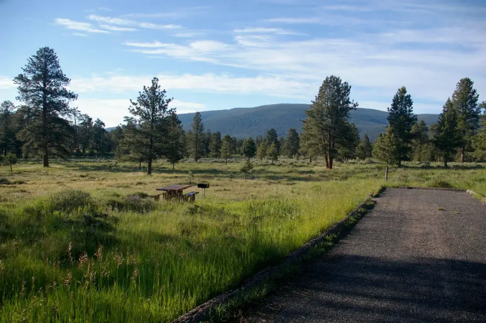 Ashley National Forest recreation area