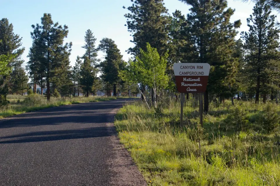 Ashley National Forest recreation area